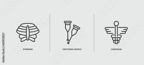 set of medical and healthcare thin line icons. medical and healthcare outline icons included sternum, crutches couple, caduceus vector.