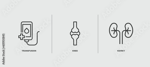 set of medical thin line icons. medical outline icons included transfusion, knee, kidney vector.