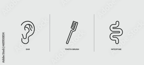 set of medical thin line icons. medical outline icons included ear, tooth brush, intestine vector.