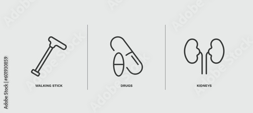 set of medical thin line icons. medical outline icons included walking stick, drugs, kidneys vector.