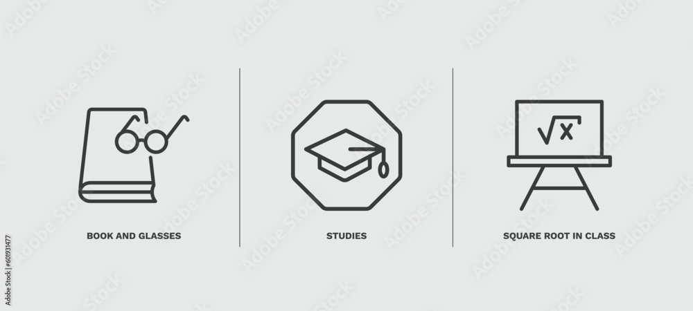 Fototapeta premium set of education thin line icons. education outline icons included book and glasses, studies, square root in class vector.