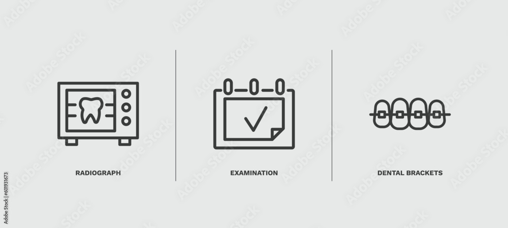 set of dental health thin line icons. dental health outline icons included radiograph, examination, dental brackets vector. set of dental health thin line icons. dental health outline icons included radiograph, examination, dental brackets vector.