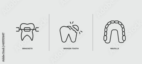 set of dental health thin line icons. dental health outline icons included brackets, broken tooth, maxilla vector.