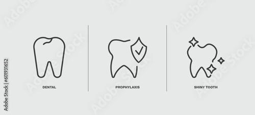 set of dental health thin line icons. dental health outline icons included dental, prophylaxis, shiny tooth vector.