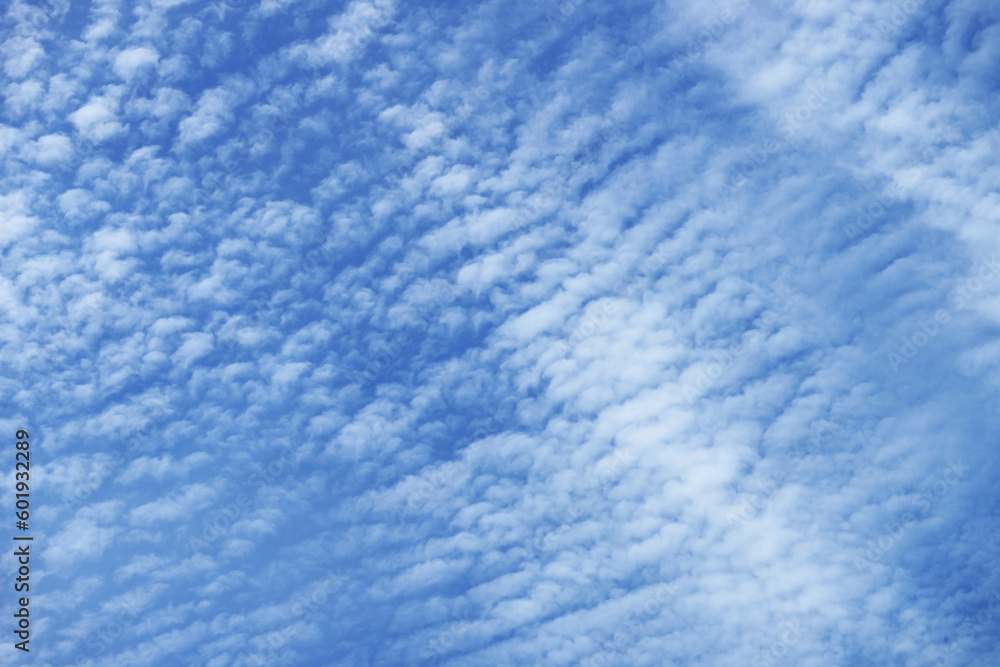 Beautiful White Clouds Floating on Vibrant Blue Sky	