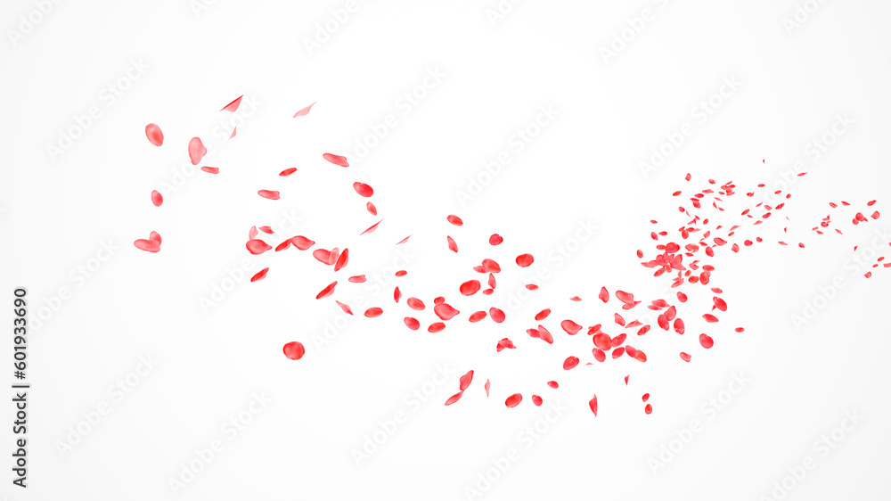 Red rose petals fly in the air on a white background. Red Roses Petals Flow in the wind Isolated on white background. Abstract Red Leaves flower blow on curve path on white background. 3d render
 - obrazy, fototapety, plakaty 