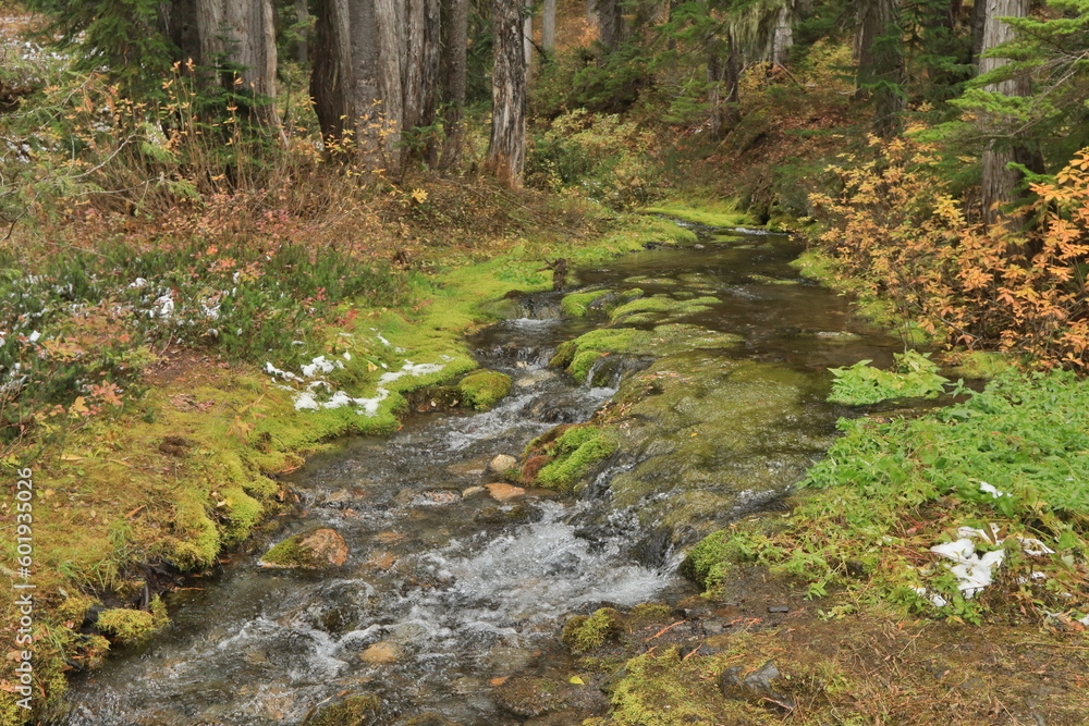 Beautiful Scenery of Pacific Crest Trail in Washington Beautiful Scenery of Pacific Crest Trail in Washington