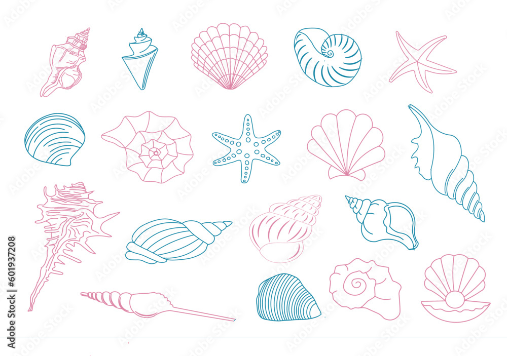 Different ocean, sea shells collection. Different ocean, sea shells collection.