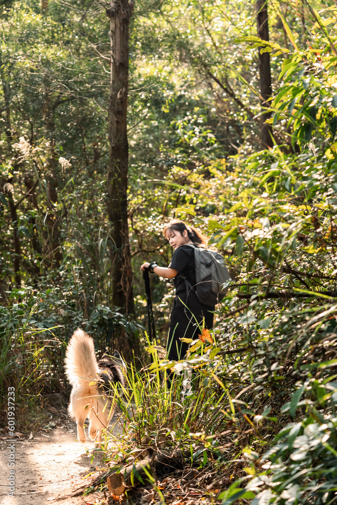 Asian woman is hiking with her pet dog in the forest. 