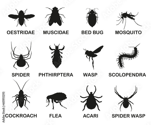 Vector black and white icons of various insects. Insects that harm people.