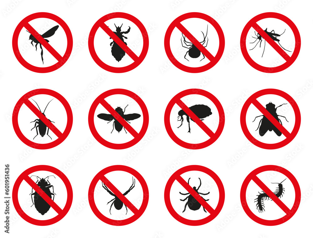 Set of isolated prohibited insects. Insects that bring discomfort to people. Set of isolated prohibited insects. Insects that bring discomfort to people.