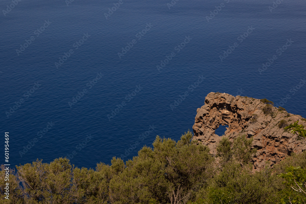 Fototapeta premium Foradada