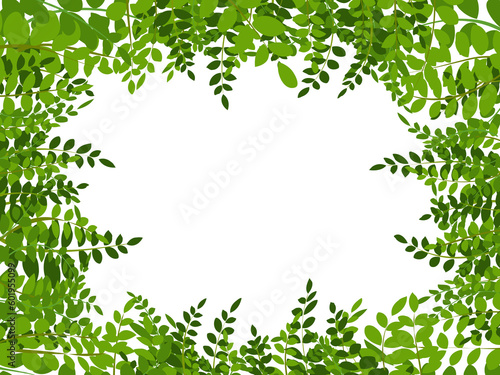tropical jungle with leaves background