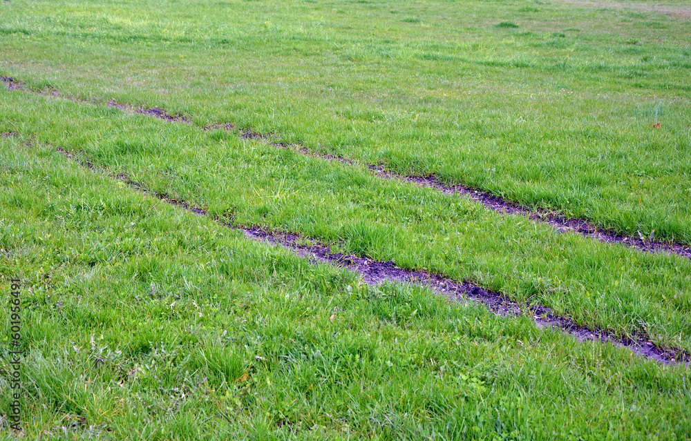 Tire tracks on the lawn patched covered with soil Tire tracks on the lawn patched covered with soil