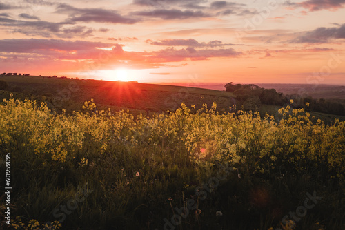 An amazing view of the setting sun over a field of yellow rapeseed flowers