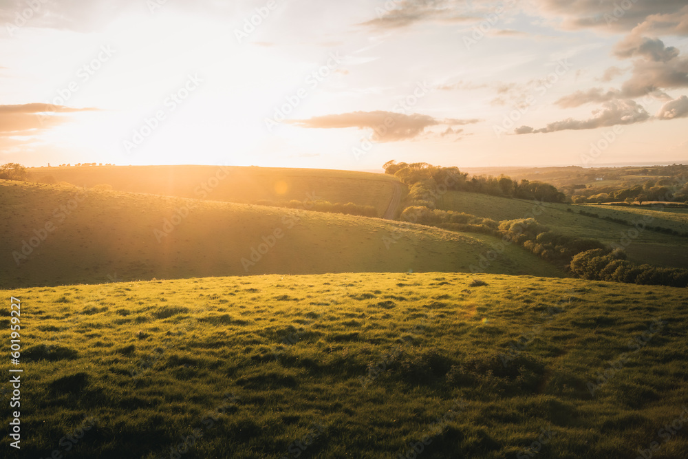 Fototapeta premium A sunset glowing across a field on a spring day
