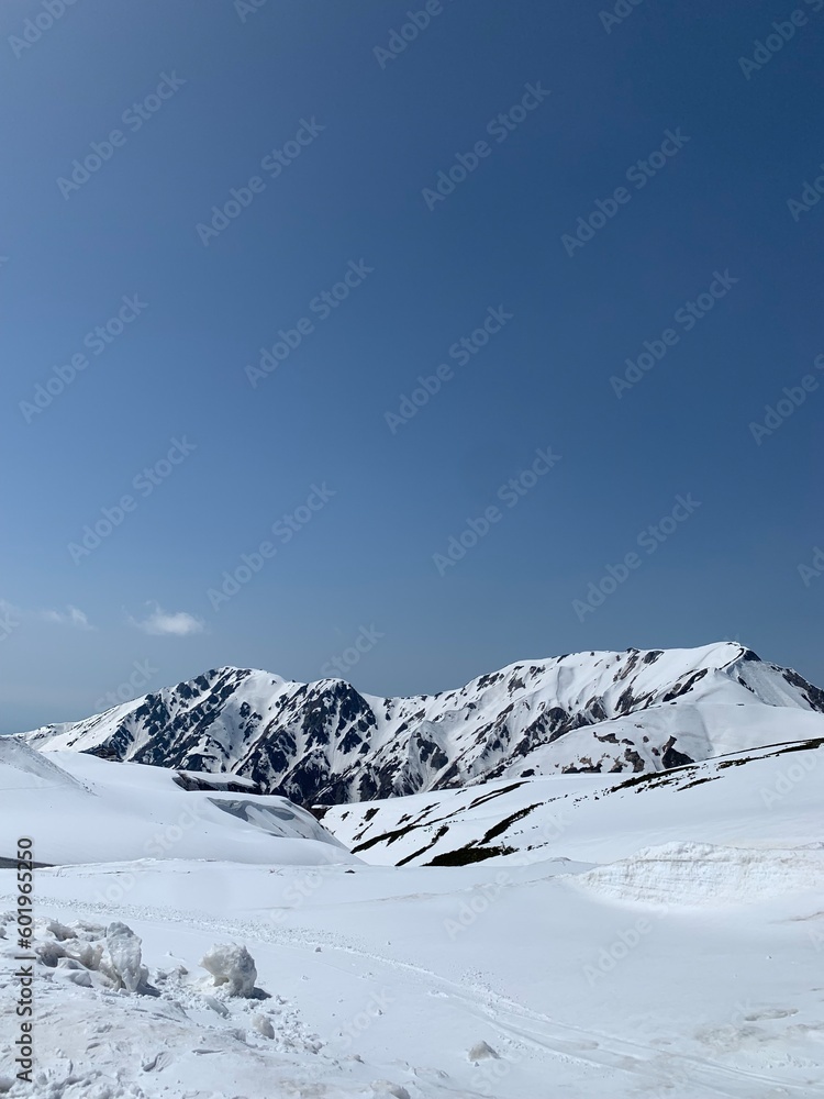 立山黒部アルペンルート室堂から見る立山連峰