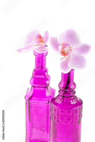 Orchid Flower Still With Pink Vase