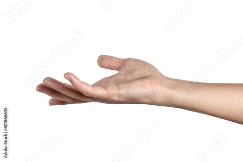 Woman hand shows open palm isolated on white background, with clipping path.  Five fingers. Full Depth of field. Focus stacking. PNG photo