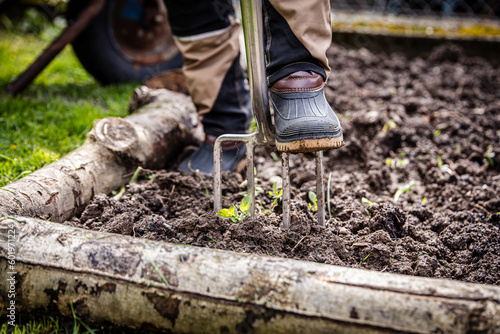 female professional gardener works in the garden