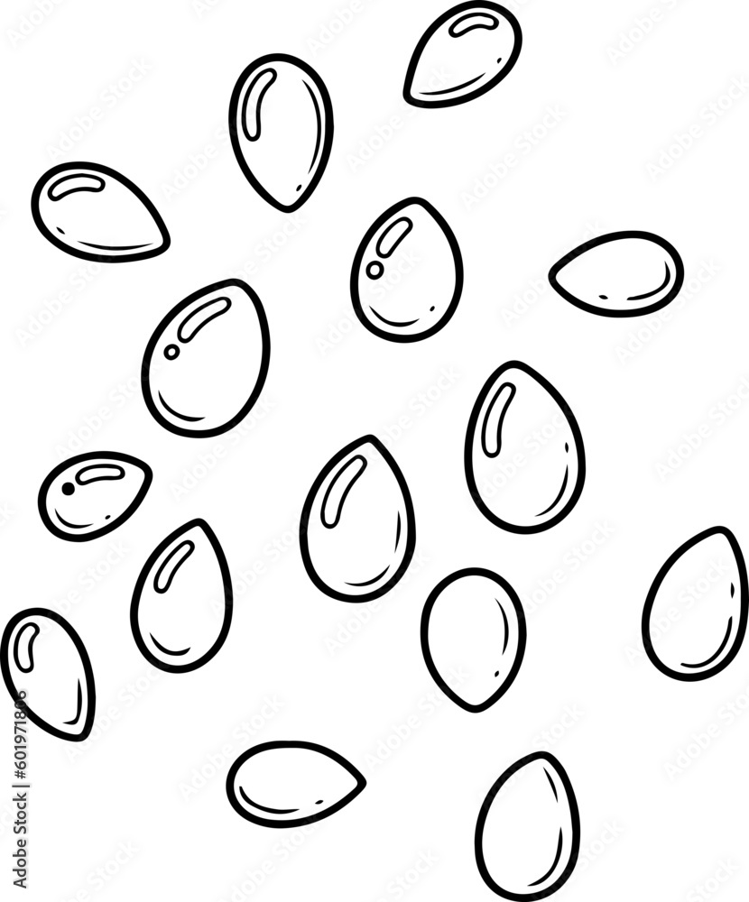 tomato seed doodle Stock Vector Adobe Stock