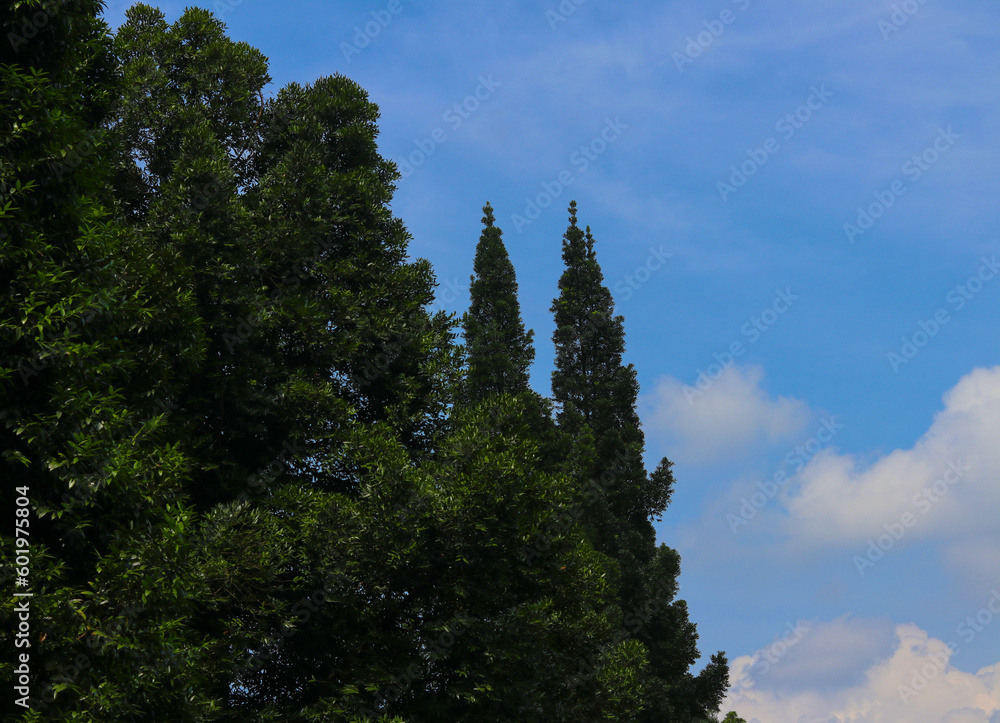 Obraz premium Beautiful Blue Sky in West Java Indonesia