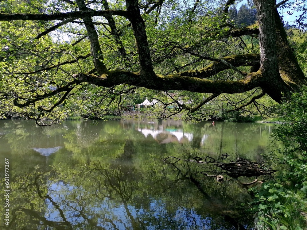 Der Waldsee in Freiburg Der Waldsee in Freiburg