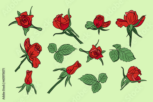 Set of red hand drawn vector roses with leaves. Colored flowers and leaves with black outlines. IIsolated illustration. Can be used as stickers, tatoo, pattern, background, wrapping paper, border