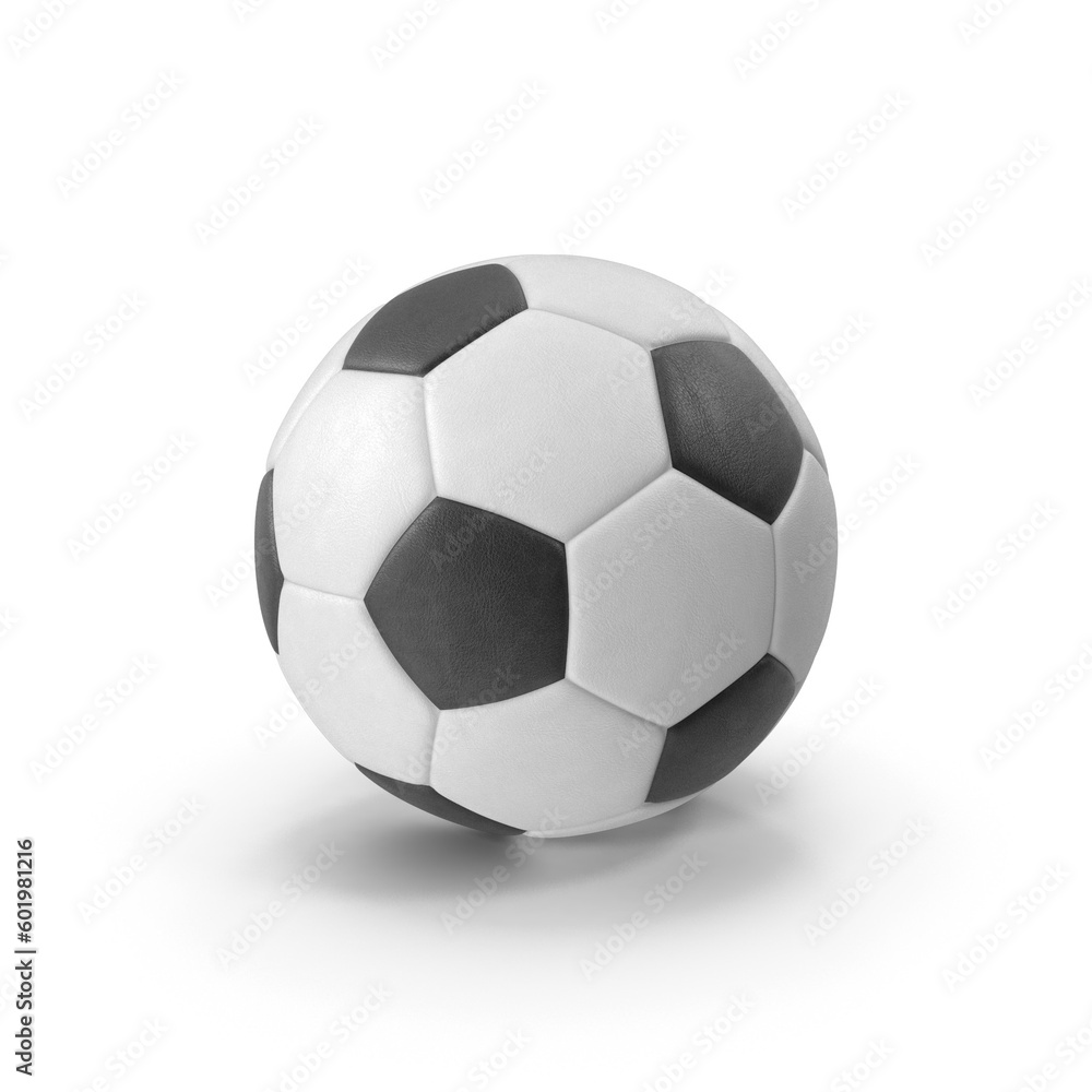 Fototapeta premium Black and White Soccer Ball