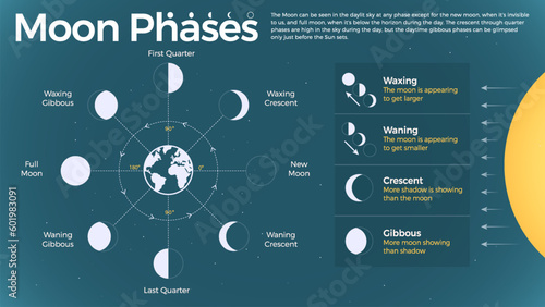 The Ultimate Guide to Understanding Moon Phases and Lunar Cycles: Waxing, Waning, Crescent, and Gibbous Moon Types Explained with Vector Infographics