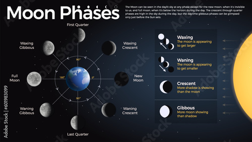 The Ultimate Guide to Understanding Moon Phases and Lunar Cycles: Waxing, Waning, Crescent, and Gibbous Moon Types Explained with Vector Infographics photo