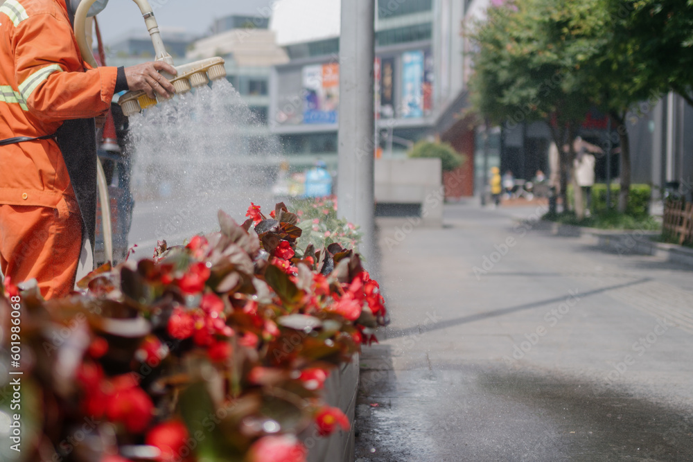 Naklejka premium person watering plants