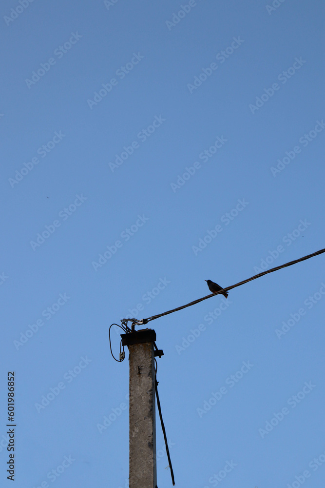 electric pole with wires electric pole with wires