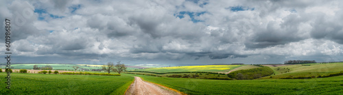 The Wolds with wheat growning in farmland. Sledmere  UK.