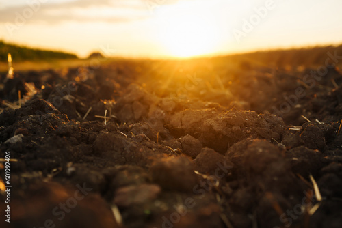 Plowed field at sunset Fototapet