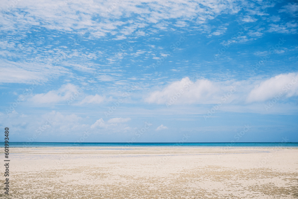 Fototapeta premium ここにずっといる