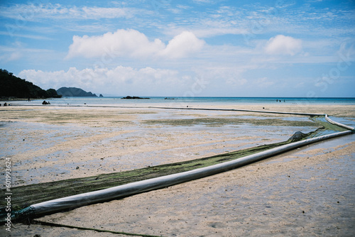 遠浅の現実