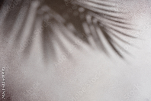 Abstract background of shadows palm leaves on a grunge concrete wall