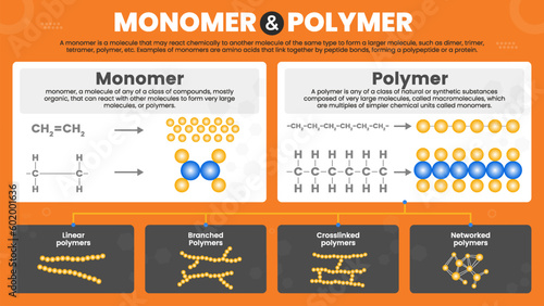 Monomers and polymers with Complex molecules structure formula and organic synthesis and Microscopic atom bonding diagram -educational vector infographics