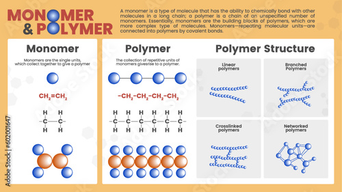 Monomers and polymers with Complex molecules structure formula and organic synthesis and Microscopic atom bonding diagram -educational vector infographics photo
