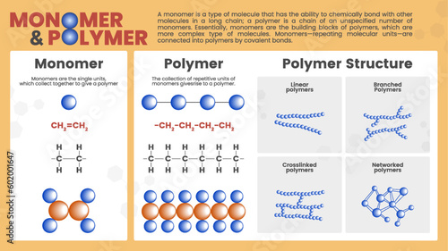 Monomers and polymers with Complex molecules structure formula and organic synthesis and Microscopic atom bonding diagram -educational vector infographics