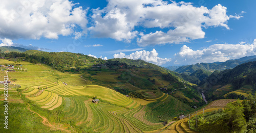 Terraced rice field in Mu Cang Chai  Yen Bai  Vietnam