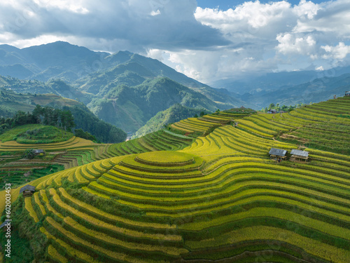 Terraced rice field in Mu Cang Chai, Yen Bai, Vietnam