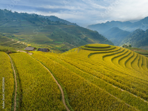 Terraced rice field in Mu Cang Chai  Yen Bai  Vietnam