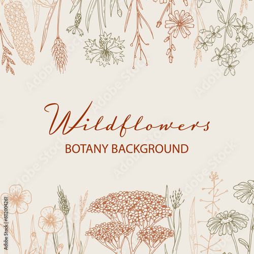 Hand drawn summer wildflowers frame. Vector illustration in sketch style. Meadow flowers aesthetic background. Summer design