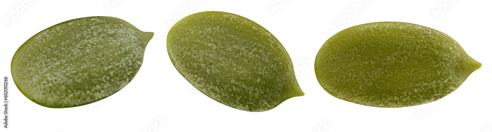 Pumpkin seed, isolated on white background, full depth of field Pumpkin seed, isolated on white background, full depth of field