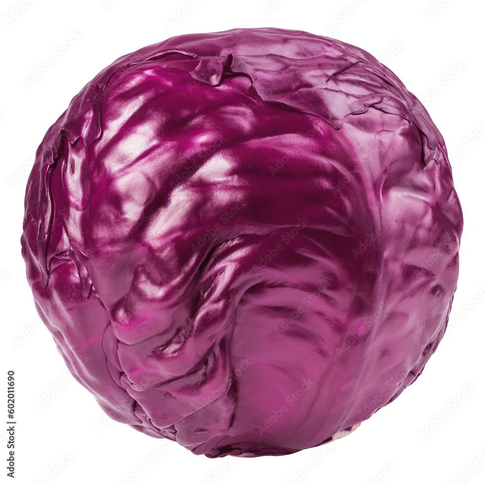 red cabbage, isolated on white background, full depth of field red cabbage, isolated on white background, full depth of field