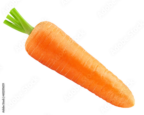 carrot isolated on white background, full depth of field photo
