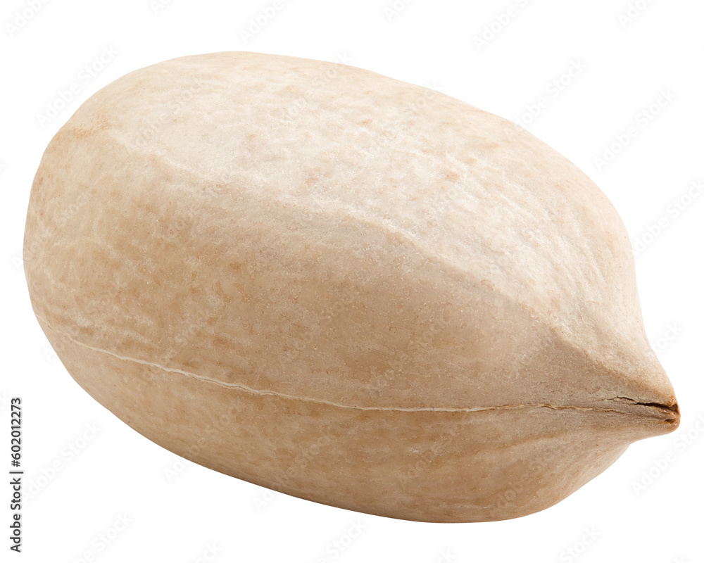 Fototapeta premium pecan, nut, isolated on white background, full depth of field