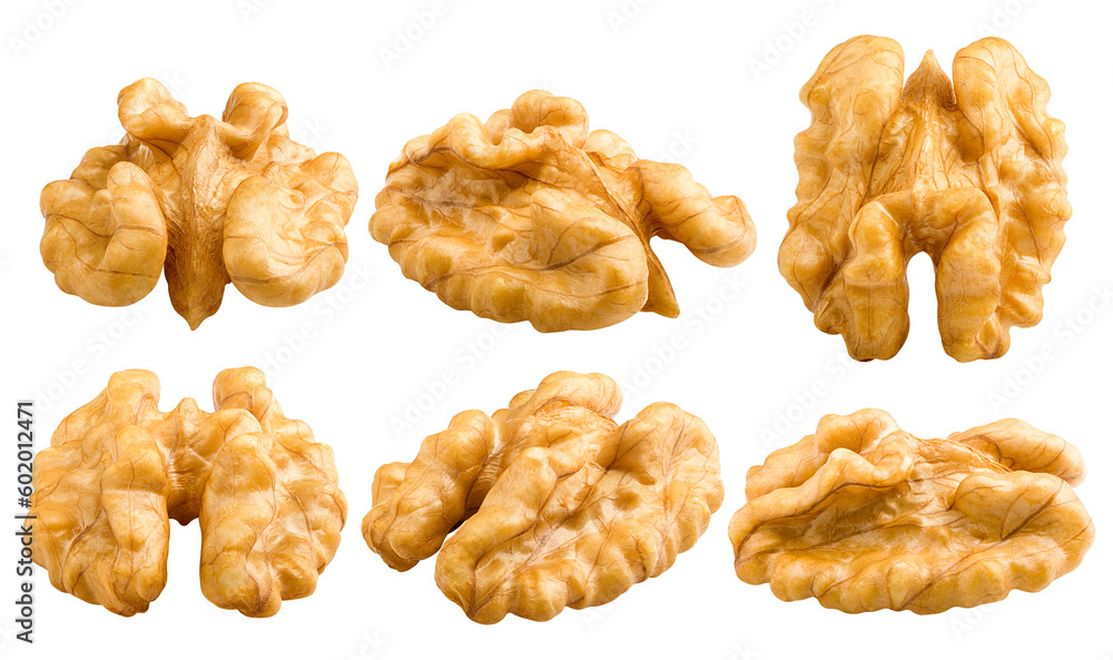 walnut, nut, isolated on white background, full depth of field walnut, nut, isolated on white background, full depth of field